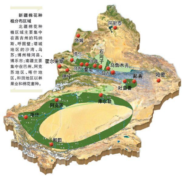 新疆棉花你往这看,这才是你该有的态度