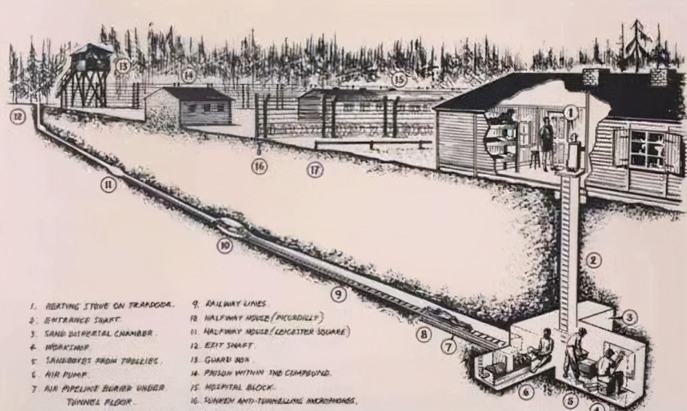 600名战俘用1年时间挖110米长地道,越狱时发现,少挖3米