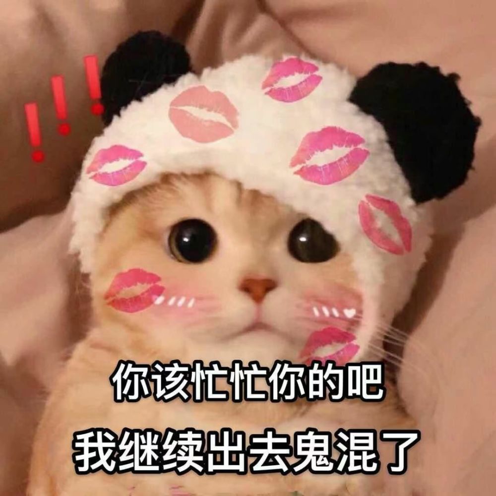 你该忙忙去吧我继续去鬼混了猫猫头表情包