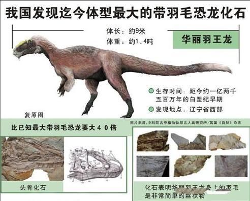 辽西发现中国最大的带羽毛恐龙重约14吨比意外北票龙大40倍