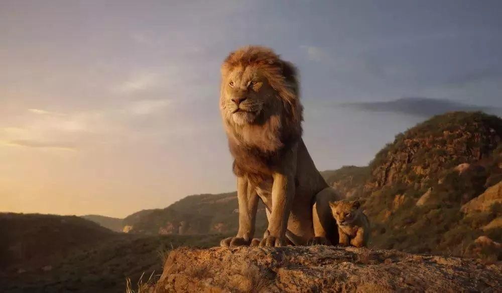 经典影片《狮子王》辛巴:在生命的循环中找到自己的位置