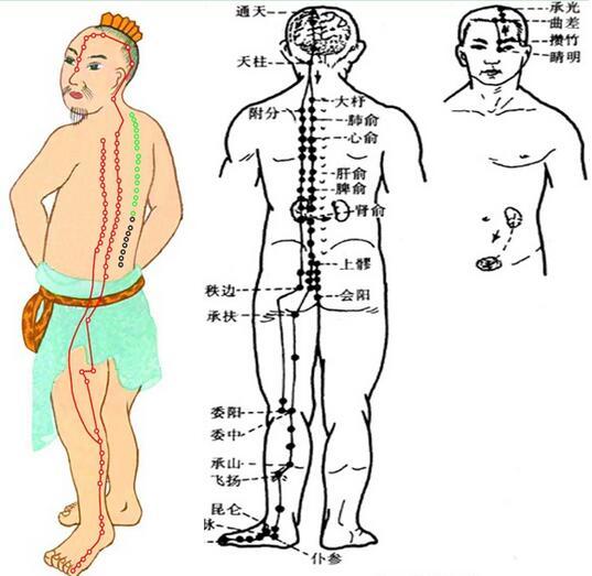 足太阳膀胱经 前病后治非常重要的经络