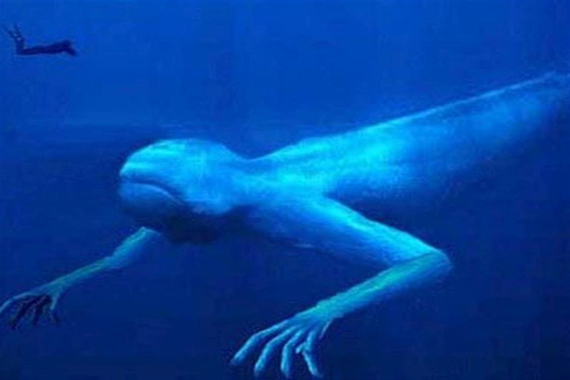 南极出现巨大类人生物,高30米,南极真的有未知生物