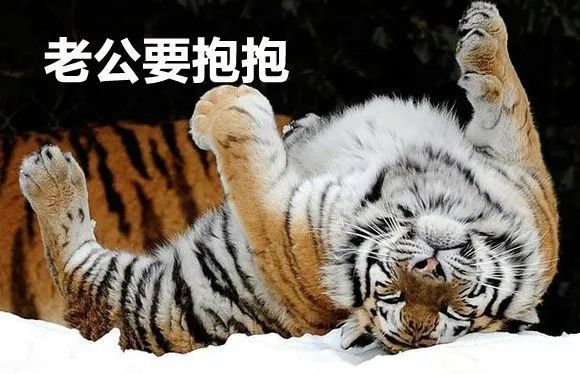 搞笑表情包是不是要圈一下你们的老公对你们老公有啥要求