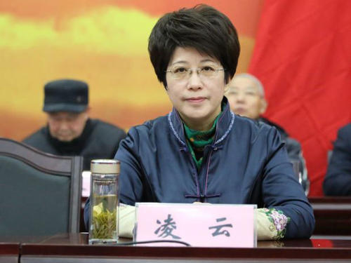 合肥女市长凌云,拟任黄山市委书记