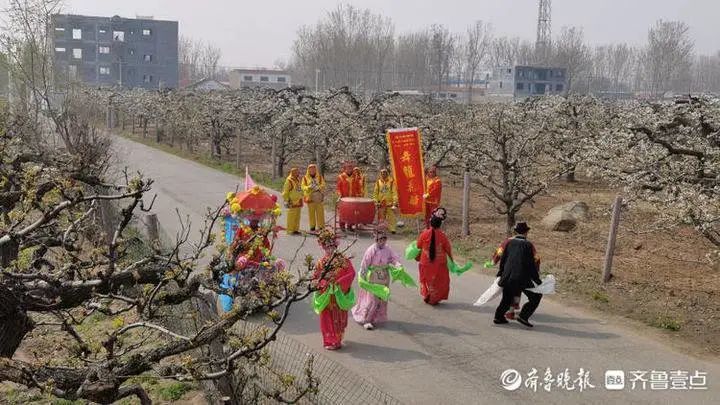 现场实拍!聊城这里万亩梨园花开如雪,太壮观了.