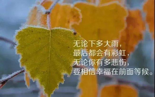 发朋友圈的心情句子短句适合发朋友圈的情感短句