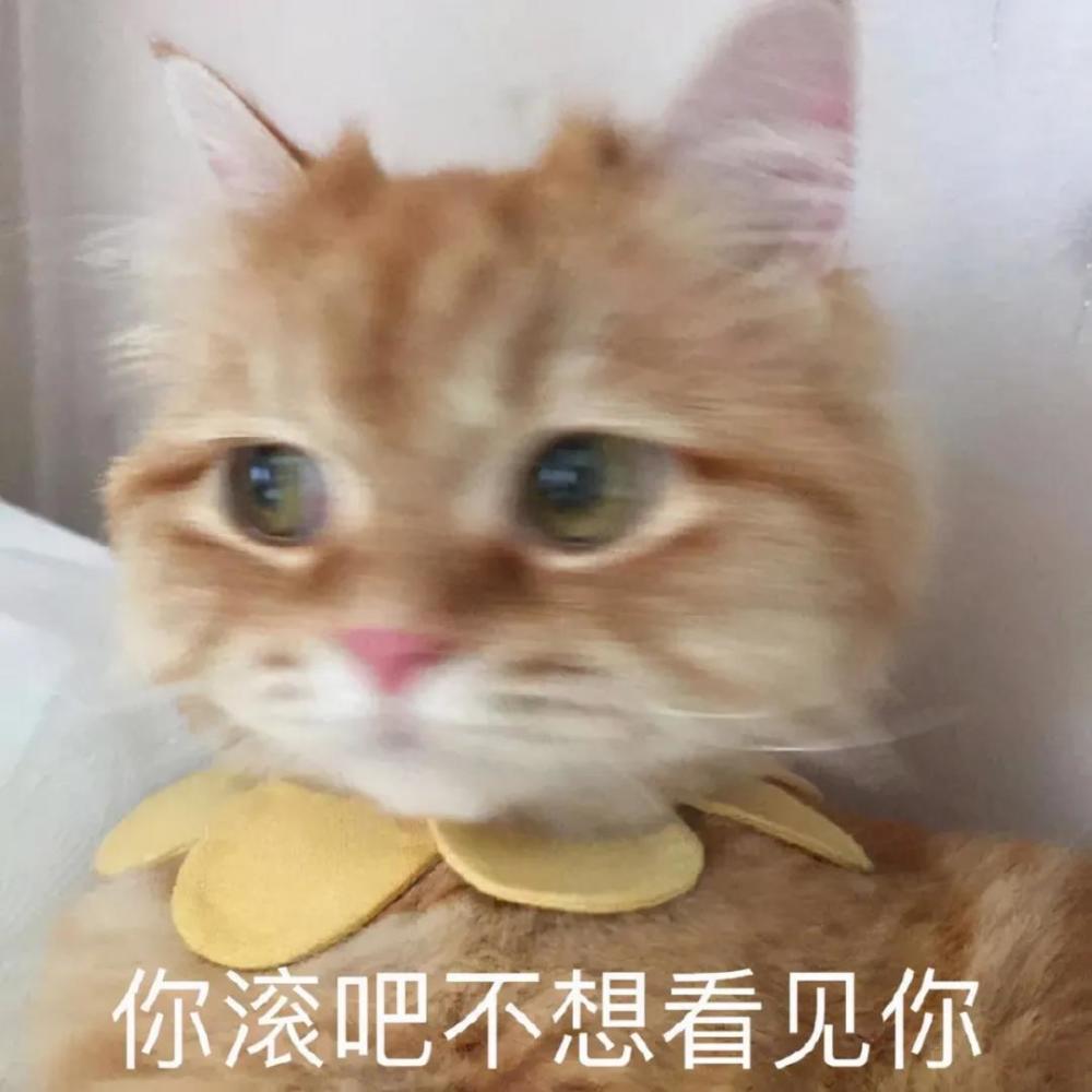 被命运扼住了喉咙