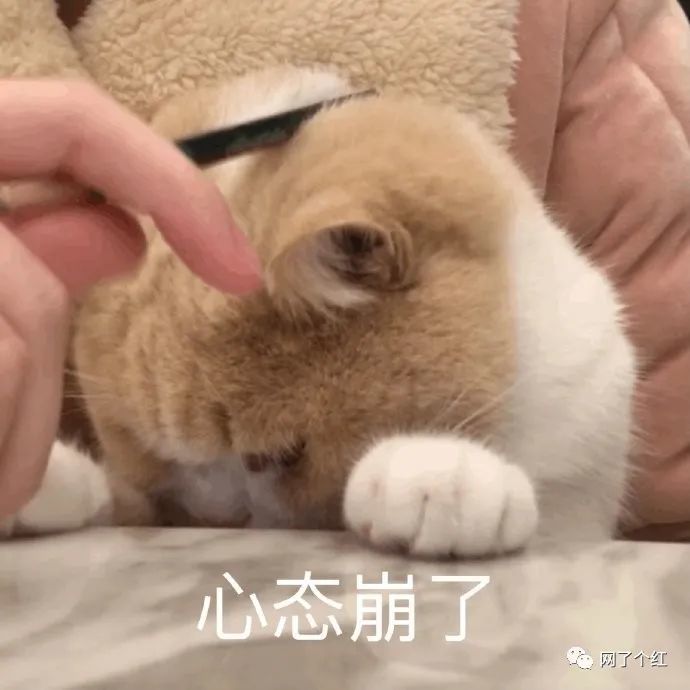 睡过头引发的社会性死亡 哈哈哈哈哈 睡觉真的是太可怕了 这一觉睡