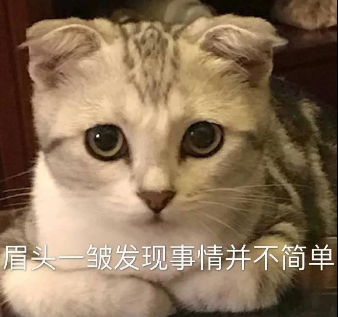 被命运扼住了喉咙