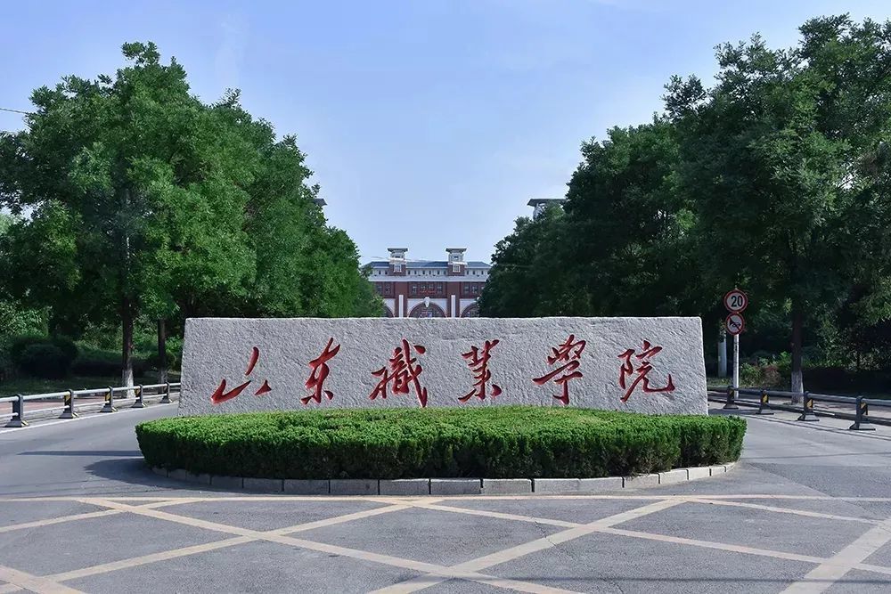 山东职业学院招聘_教育首页 新浪山东 新浪网 山东站 新浪网