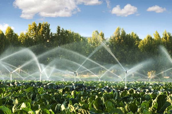 高科技灌溉管理