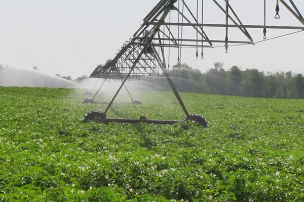 中心枢轴是一种机械自动灌溉系统,可围绕中心枢轴以圆形模式灌溉农