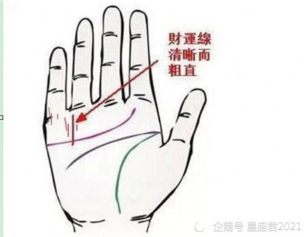 什么样的手相能聚财运 能发财的手相