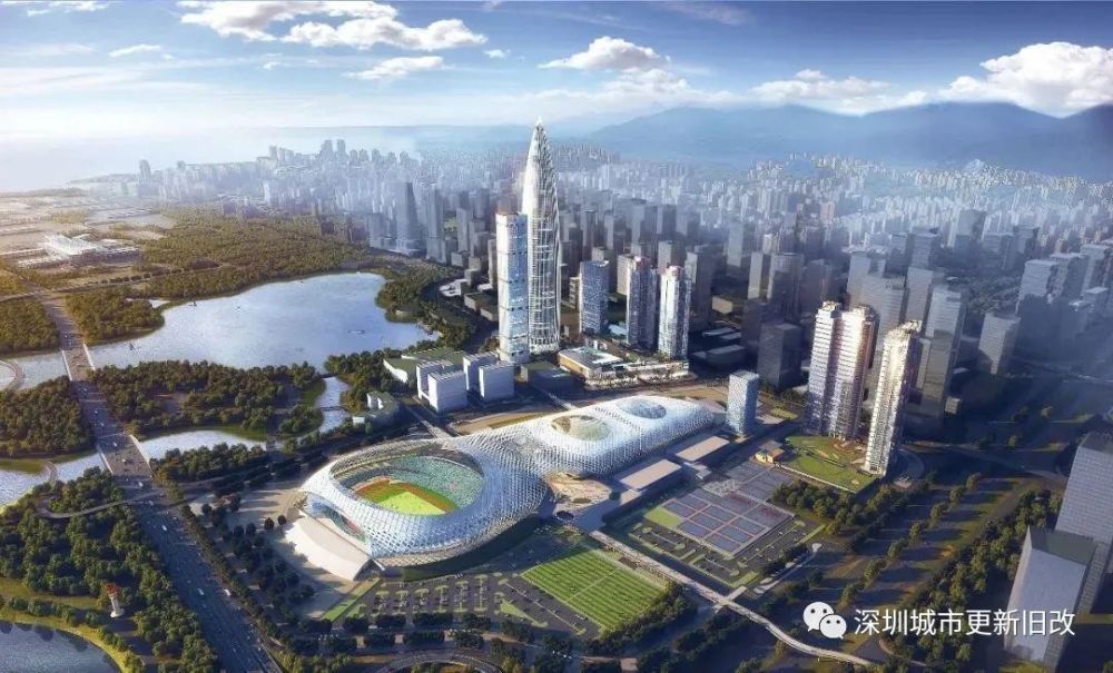 深圳教师人口_深圳人口增长趋势图(2)