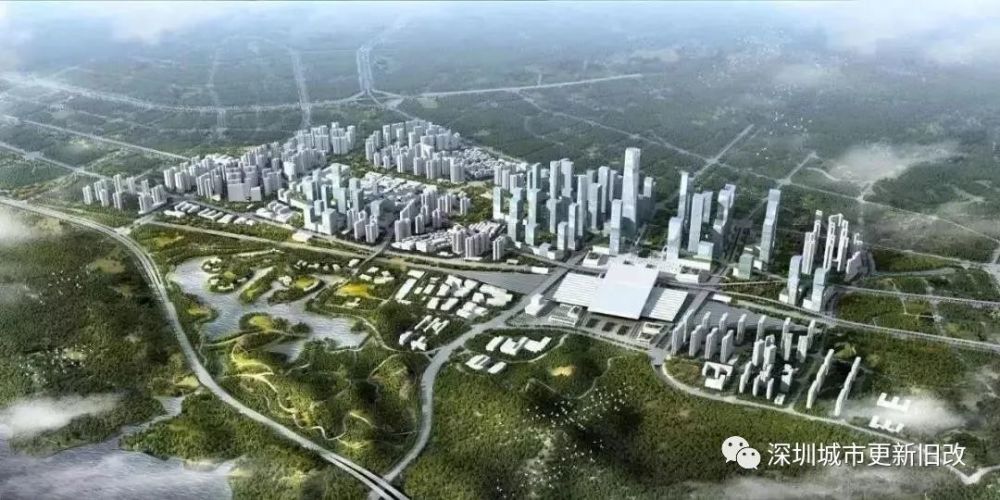 深圳教师人口_深圳人口增长趋势图