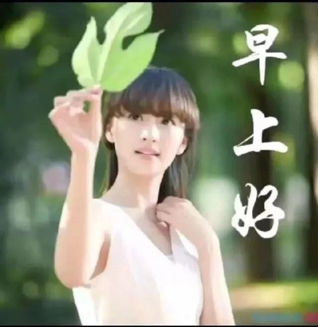漂亮的早上好动画表情图片 好看的早安问候祝福语