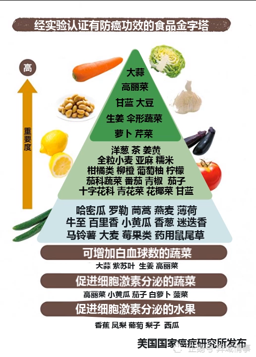 抗癌食物金字塔