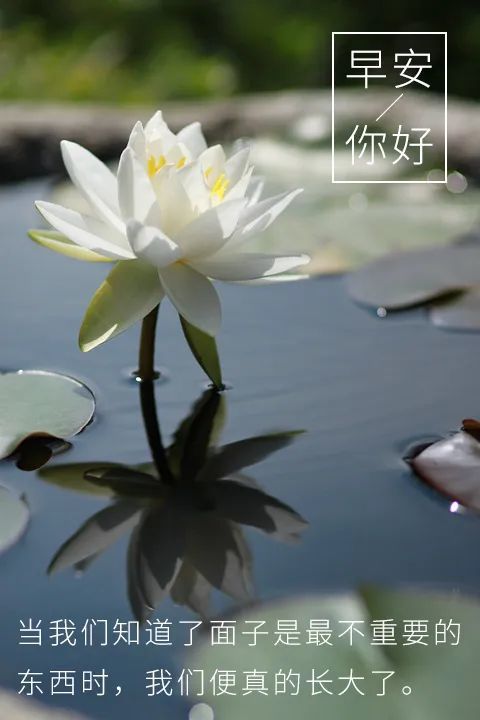 早安心语正能量语录句子 早安心语简短一句话