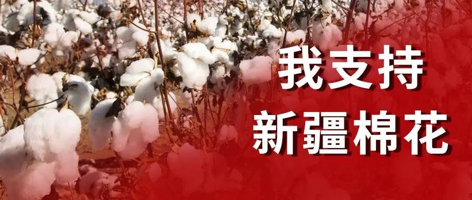 台湾毛姓人口_台湾的人口图片(3)