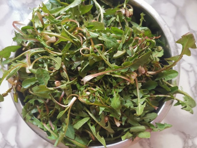 春天这菜真多,简单蒸蒸就上桌,鲜嫩营养清爽刮油,不懂吃就可惜了|野菜