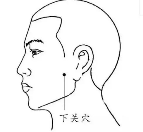 颊车穴:当咬紧牙关时,在脸部一侧肌肉鼓起的地方.