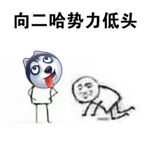 二哈 搞笑图片 斗图表情包