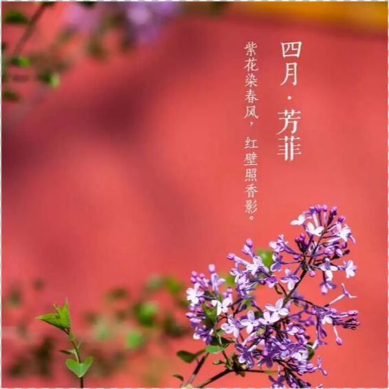 浮生若梦简谱_许你浮生若梦(3)