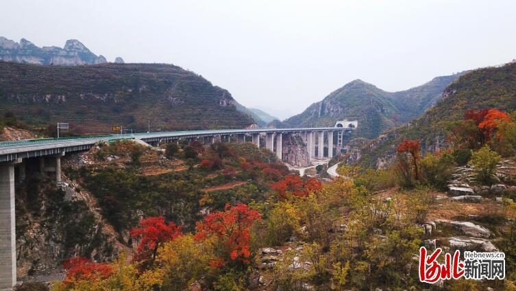 攸县黄土岭有多少人口_攸县香干(2)