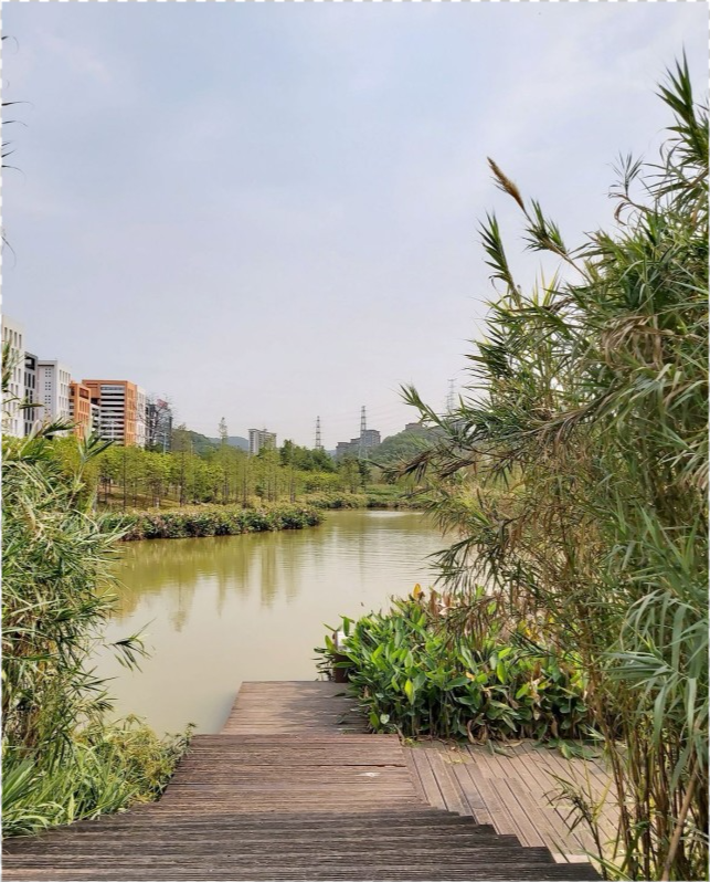 广州天河湿地公园,适合一家大小周末去放松吸氧