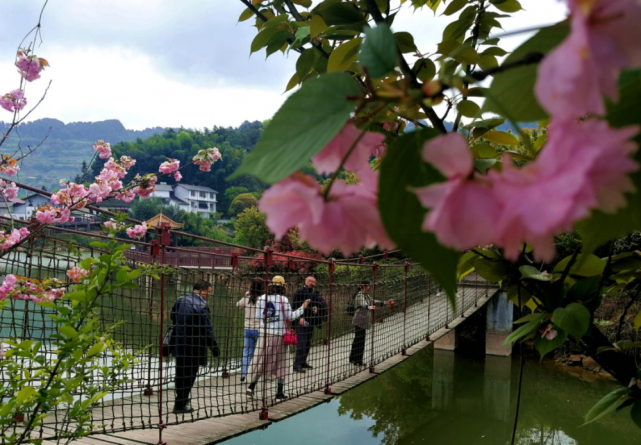 重庆江津区杜市镇太公山景区幅员面积12平方公里,海拔近千米,植被