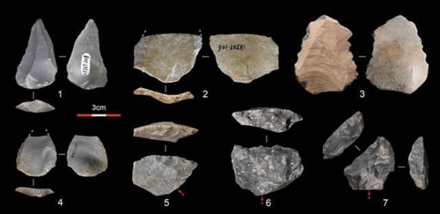 考古专家注意到,直立人制作石质工具时并不会刻意的挑选适合的材料