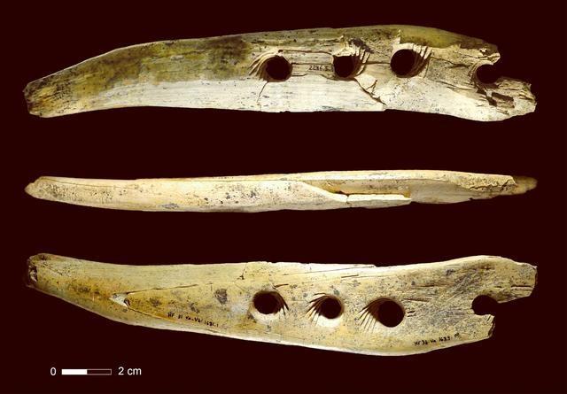 德国专家发现一骨笛,距今42000年,比贾湖骨笛还要早