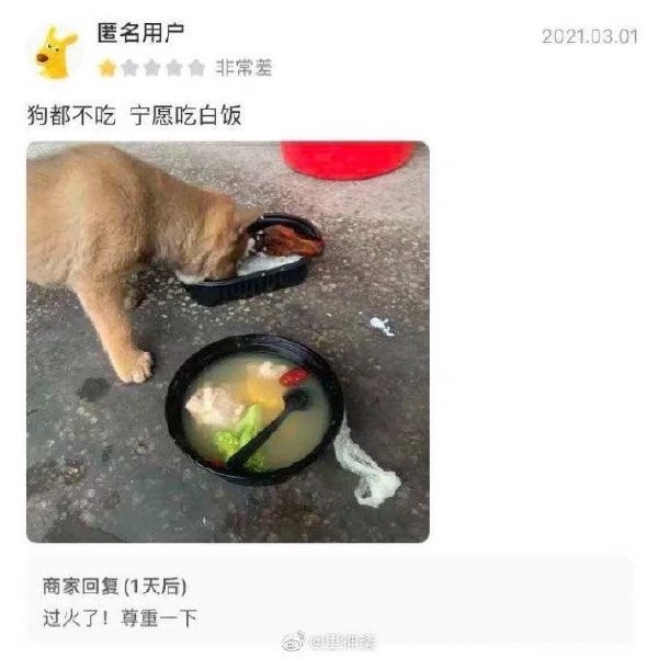 沙雕爆笑图大赏第八期你这外卖连狗都不吃宁愿吃白饭