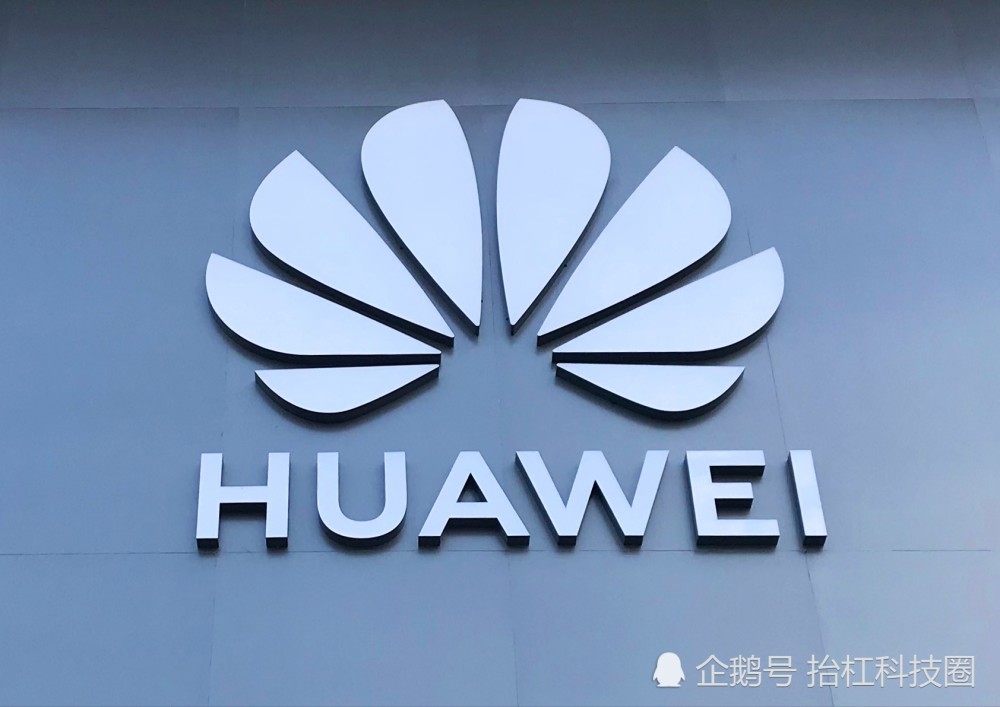 海思排名_饭思思(3)