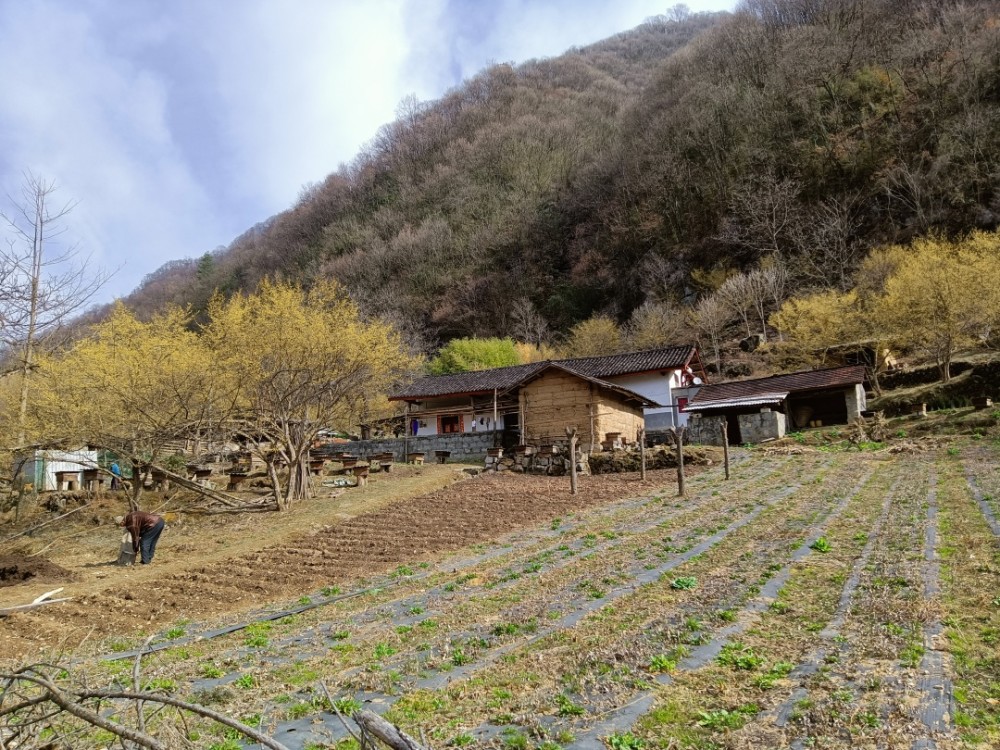 湖北湖南人口多不_湖南湖北地图(3)