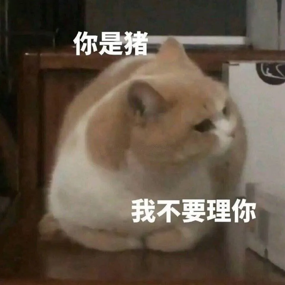 表情包丨小猫咪坏心眼多着呢!