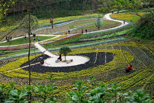 湖北英山寻春记:逛花海,泡花汤,住鸟巢,赏够春光