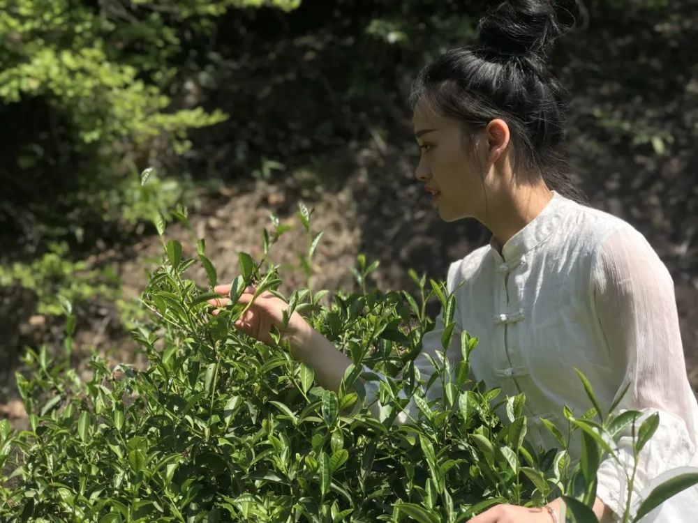 确实美不胜收 品一泡好茶 畅享武夷 还有梅氏府邸 梅氏茶业为你准备