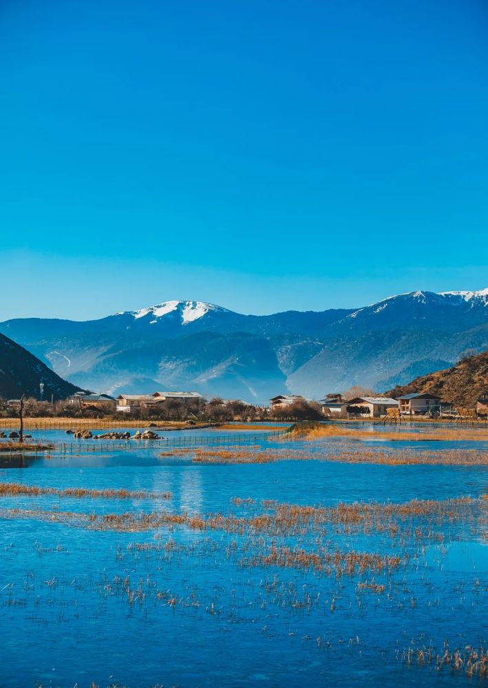走进《司藤》取景地,体验风花雪月,苍山洱海_腾讯新闻