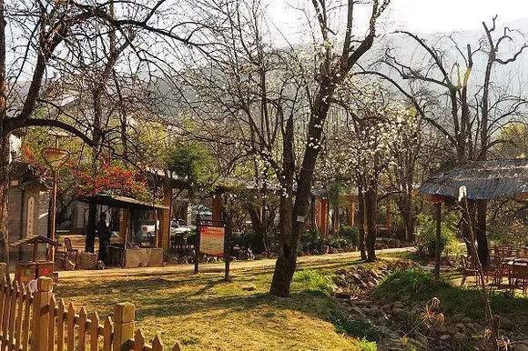 ȷ԰ɱ˰_ȷɱ˰Ƥ¼_ȷ԰Ƥ