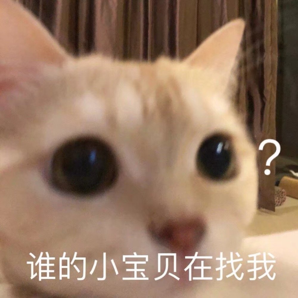 萌宠表情包:谁的小宝贝在找我?