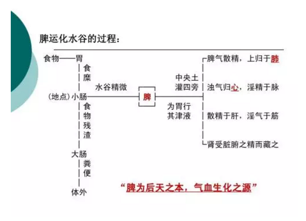 运行时原理是什么意思_试运行状态是什么意思