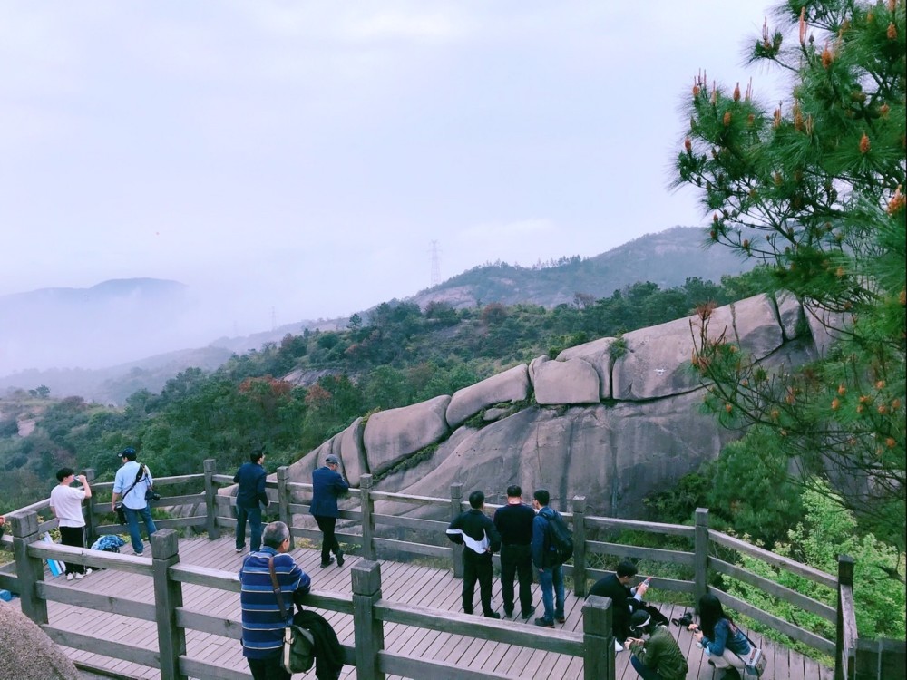 虽然见识过无数山川河流,日月星辰,但是见到温州大罗山龙脊,依旧被