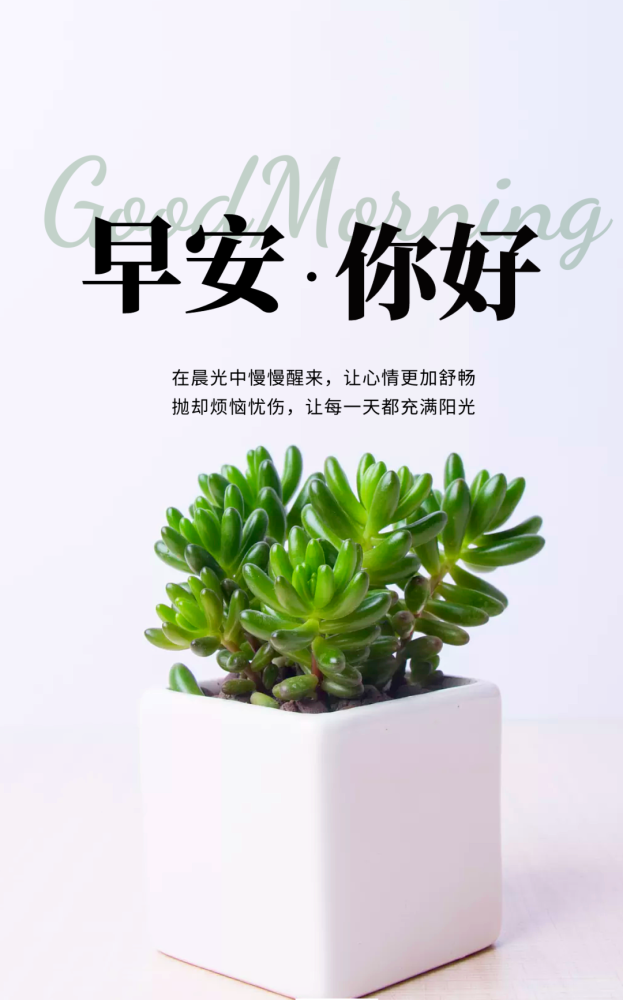 周一早上好问候语简短暖春发朋友圈最暖心的问候祝福语图片春天早安