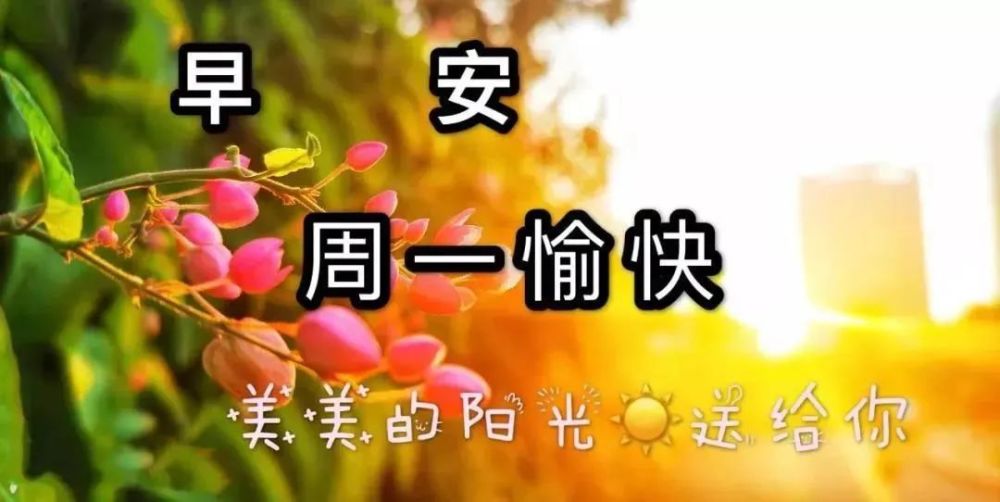早上好祝福语创意图片带字2022早上好图片大全暖心祝福的早安问候语