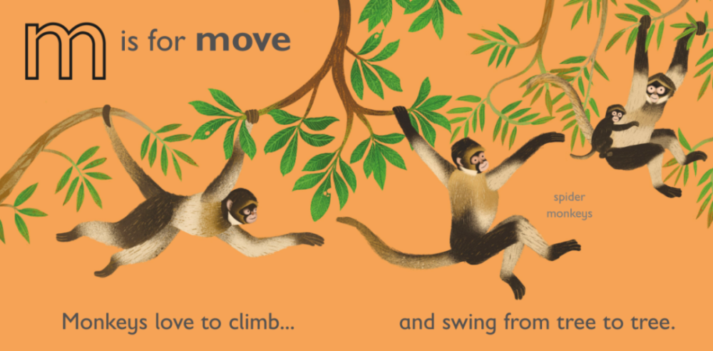 snub-nosed monkey,racehorse howler monkey(吼叫猴), golden snub-nosed monkey(仰鼻猴,川金丝猴)