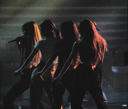 blackpink背影照花路我们一起走