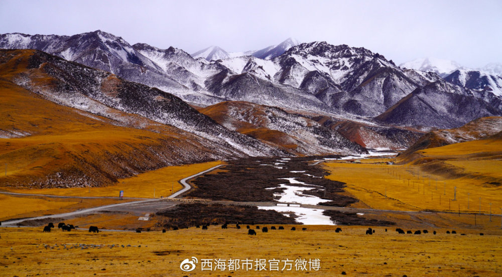 太美太震撼!穿越祁连黑河大峡谷