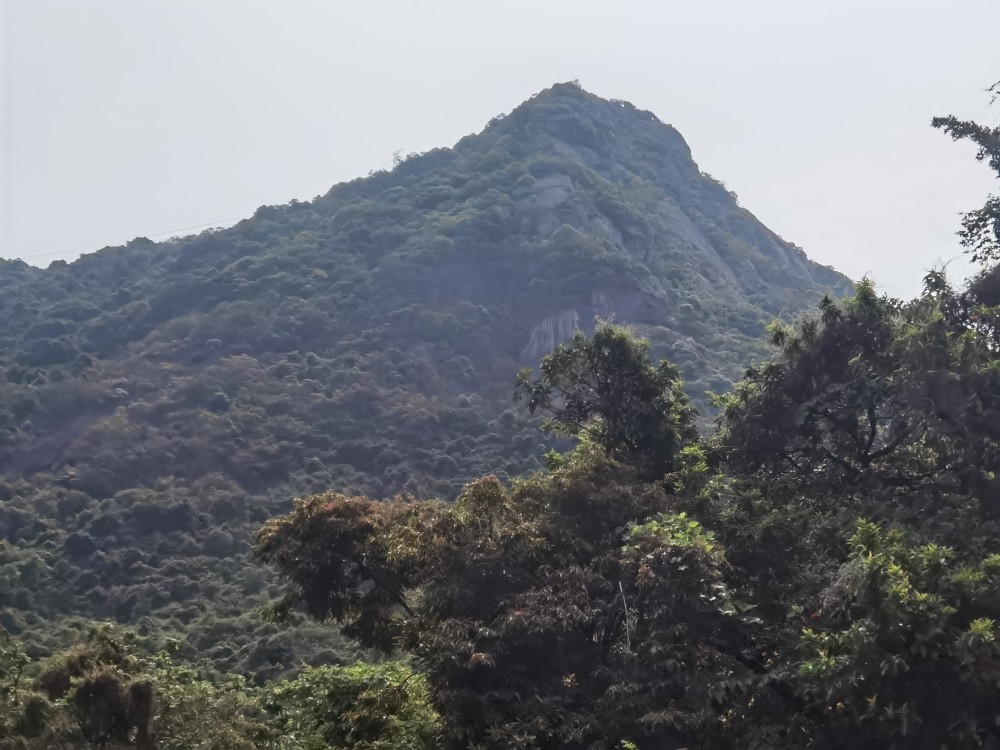 深圳园山风景区